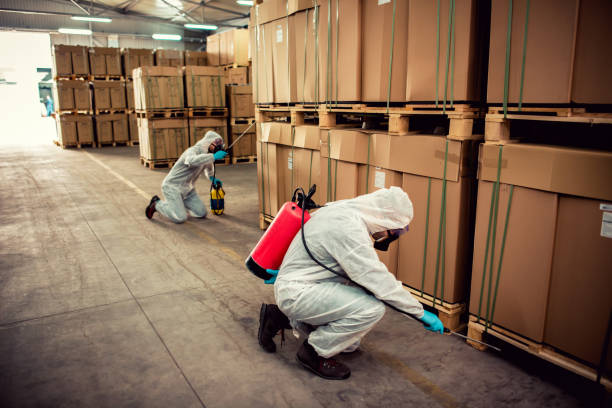 Best Flea Control Services  in Williamsburg, KY
