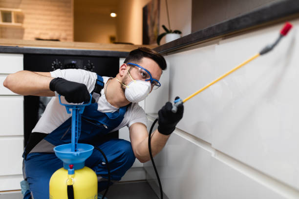 Best Termite Control Services  in Williamsburg, KY