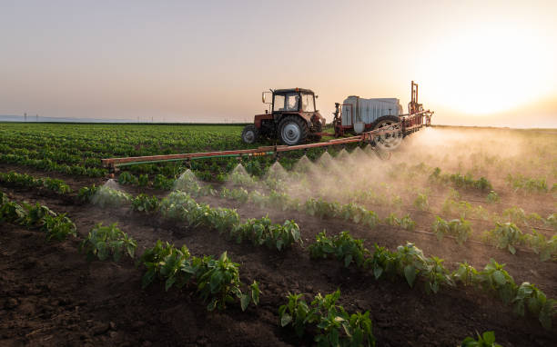 Pest Control Cost in Williamsburg, KY