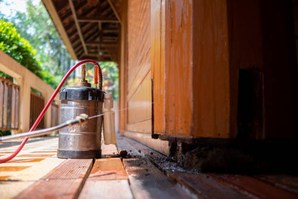 Best Pest Removal Services  in Williamsburg, KY