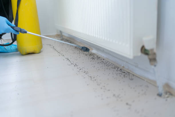 Best Best Pest Control Companies  in Williamsburg, KY